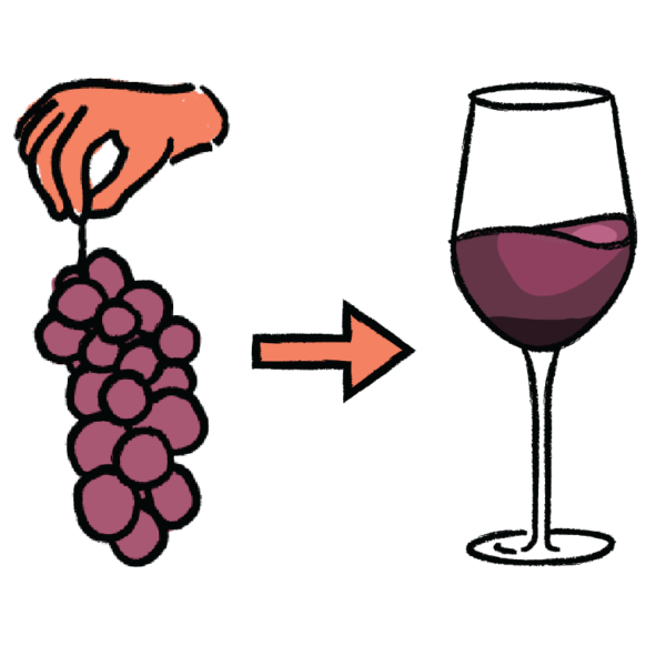 Εισαγωγή στην αμπελουργία και οινολογία