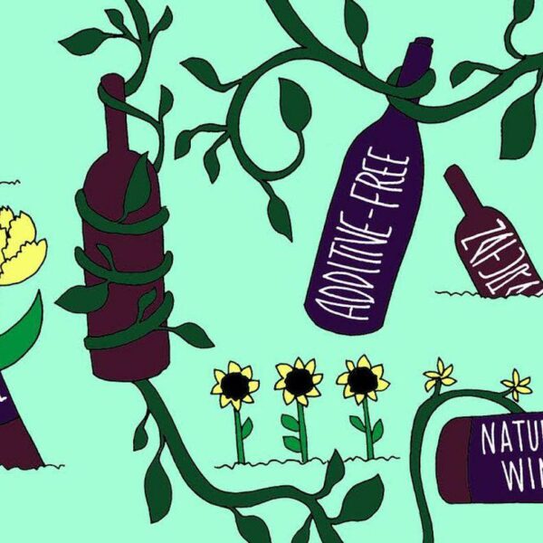 Βιολογικά, Φυσικά, Βιοδυναμικά κρασιά