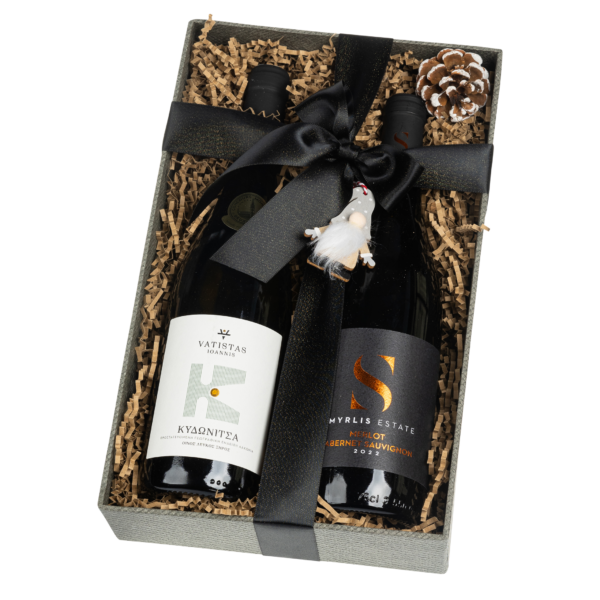 Γκρι Δίσκος 2 Θέσεων